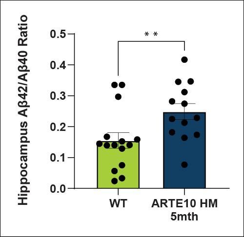 Hippocampus Aβ42/Aβ40 Ratio