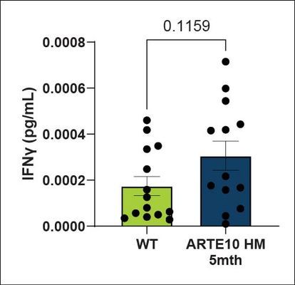 IFNγ in plasma