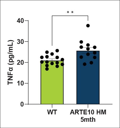 TNFα in plasma