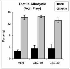 Cold allodynia chart