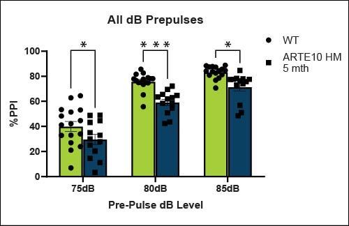 All dB Prepulses