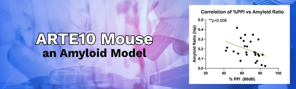 ARTE 10 an Amyloid Model