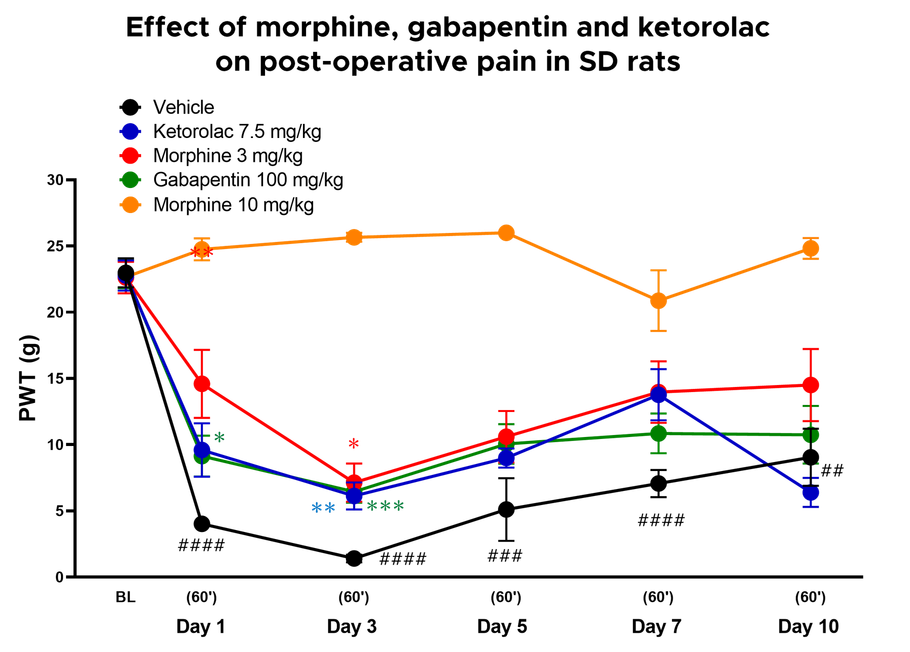 Figure 2: Post-operative pain model showing paw withdrawal thresholds with multiple analgesic treatments