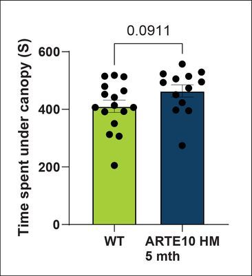 Time spent under canopy