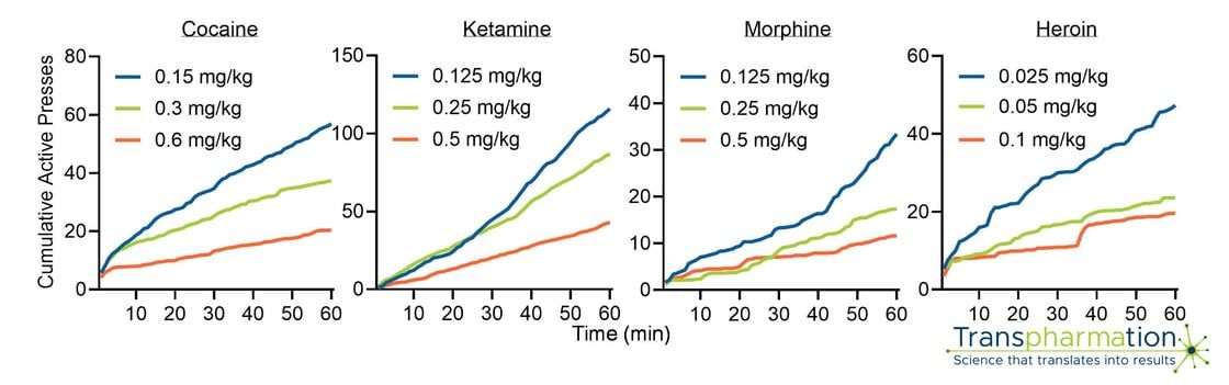Cumulative drug-seeking responses within a session