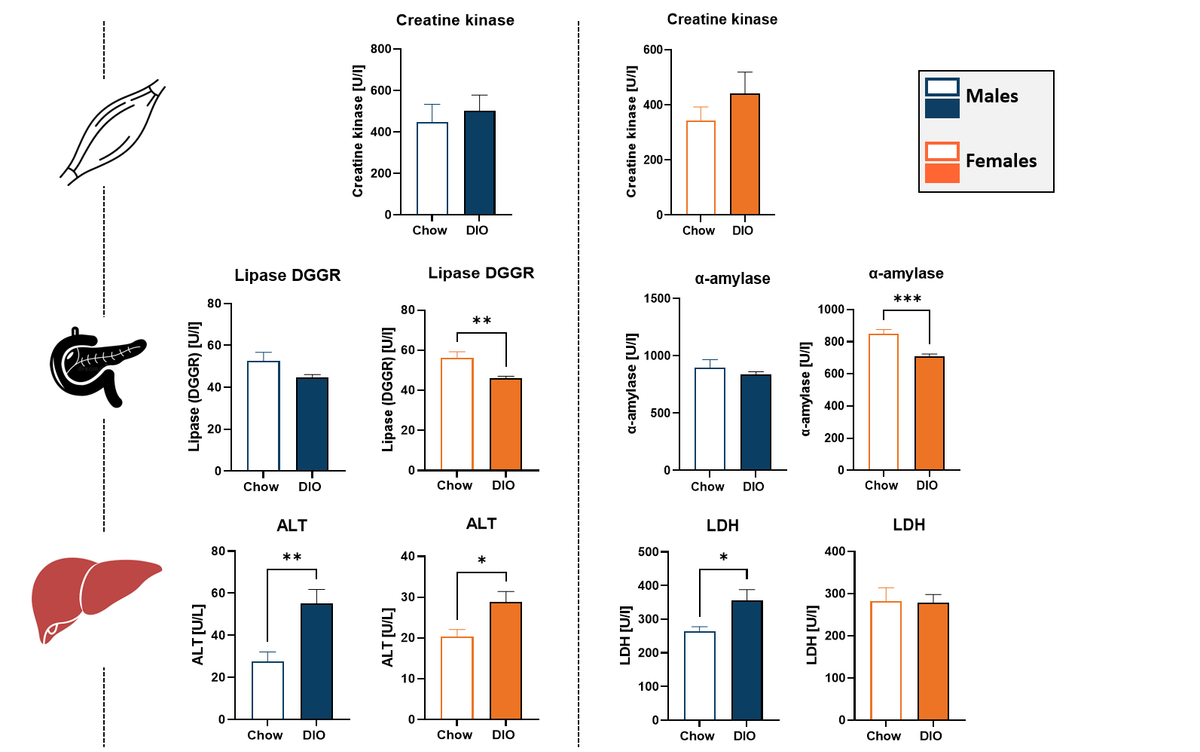 Serum enzymatic biomarker panel in DIO mice