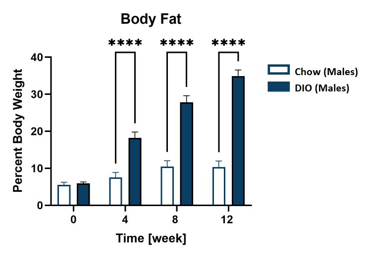 Male DIO total body fat over time