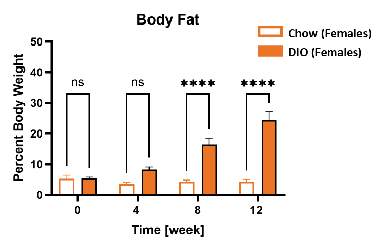 Female DIO total body fat over time