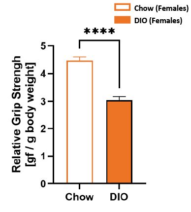 Female DIO grip strength