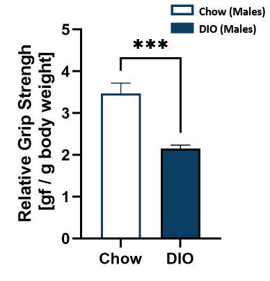 Male DIO grip strength