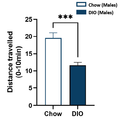 Male DIO locomotor activity
