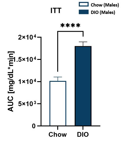 Male DIO ITT area under curve