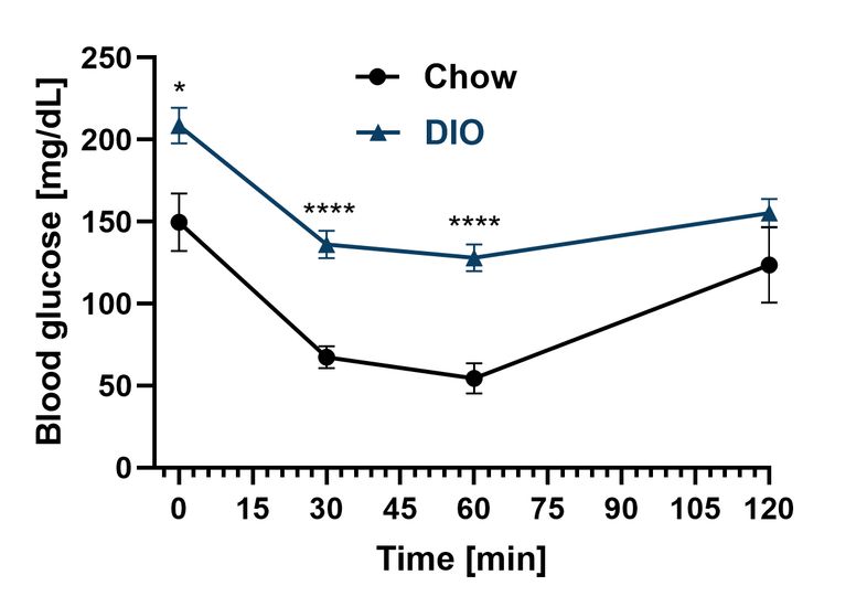 Male DIO ITT glucose curve