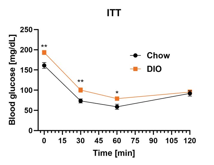 Female DIO ITT glucose curve