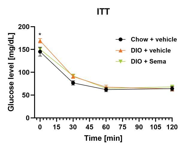 Female DIO ITT after semaglutide (glucose curve)