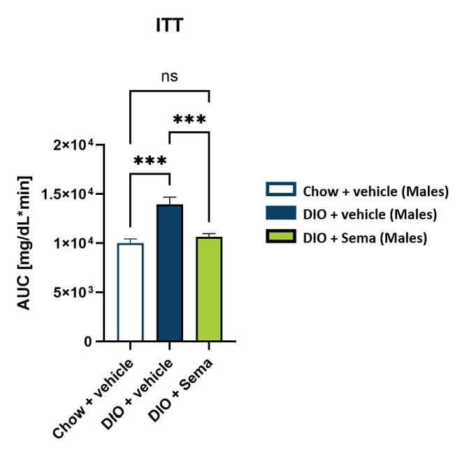 Male DIO ITT after semaglutide (area under curve)