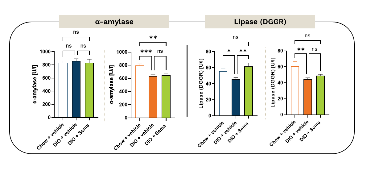 Midway blood biochemical analysis during semaglutide treatment (panel 2)