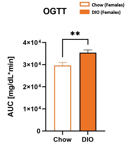 Female DIO OGTT area under curve