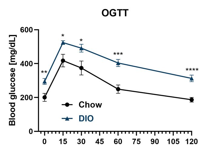 Male DIO OGTT glucose curve