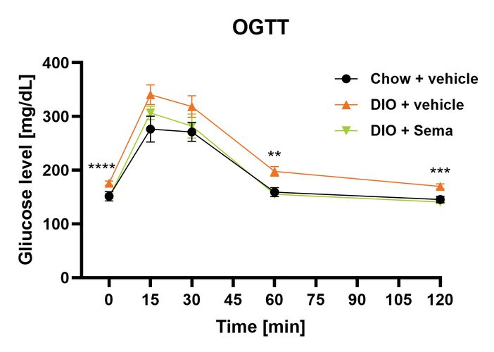 Female DIO OGTT after semaglutide (glucose curve)