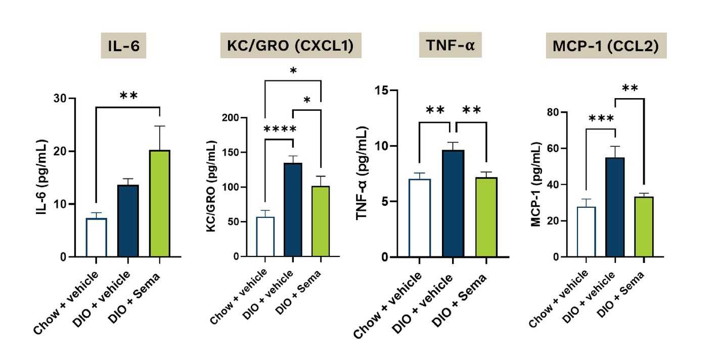 Serum cytokine levels (MSD panel 1)