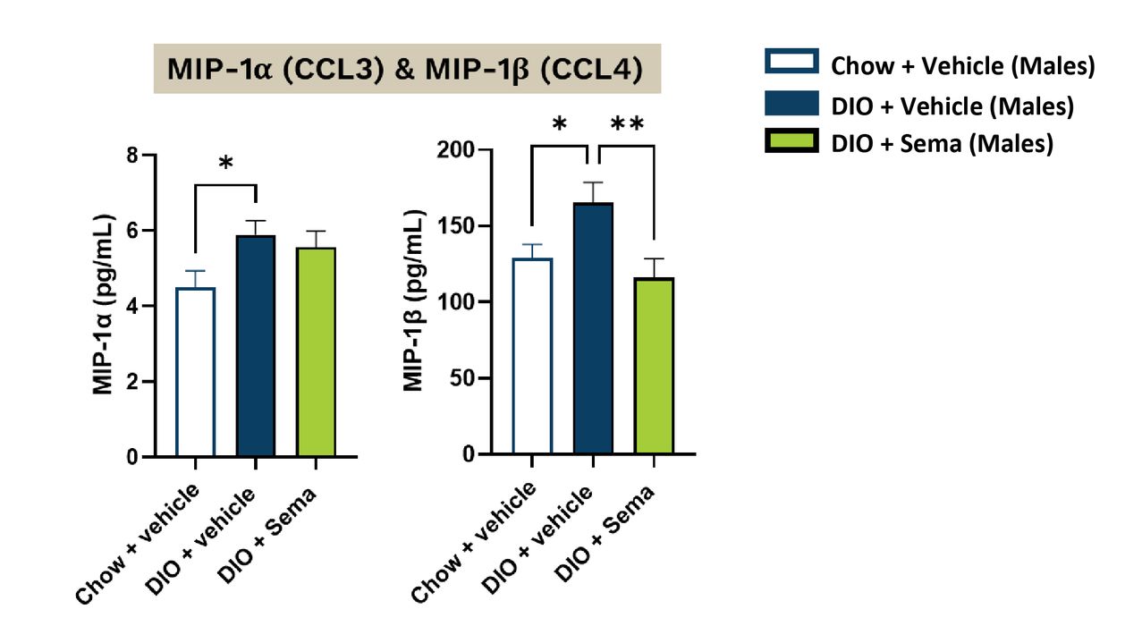 Serum cytokine levels (MSD panel 2)