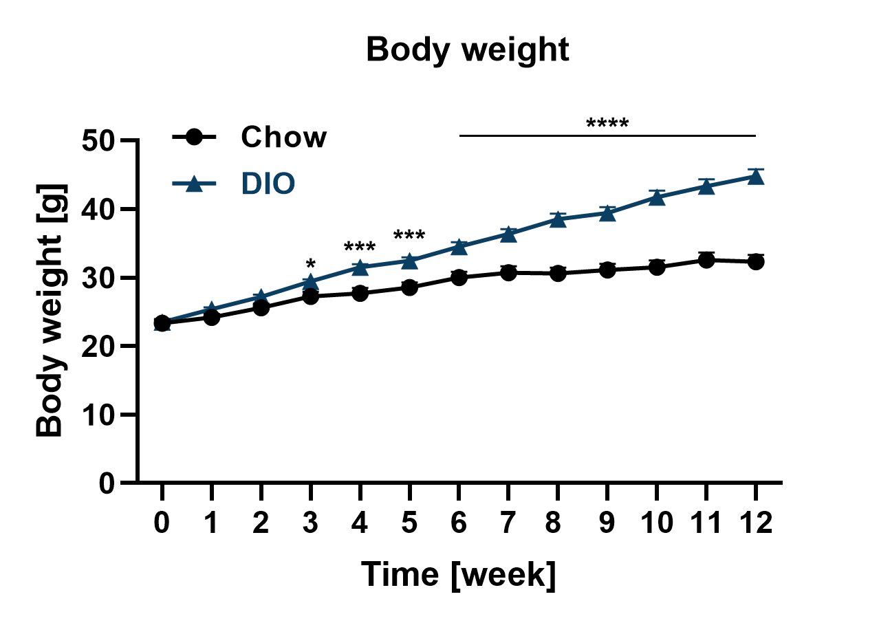 Male DIO body weight over time
