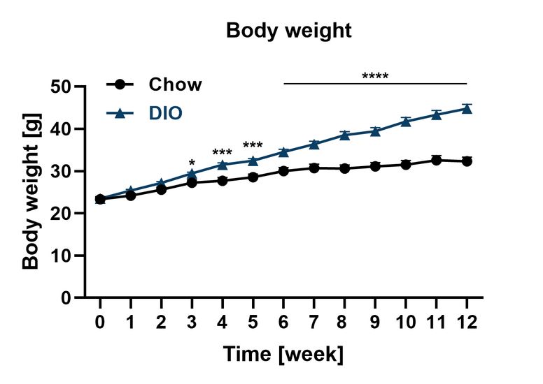 Male DIO body weight over time