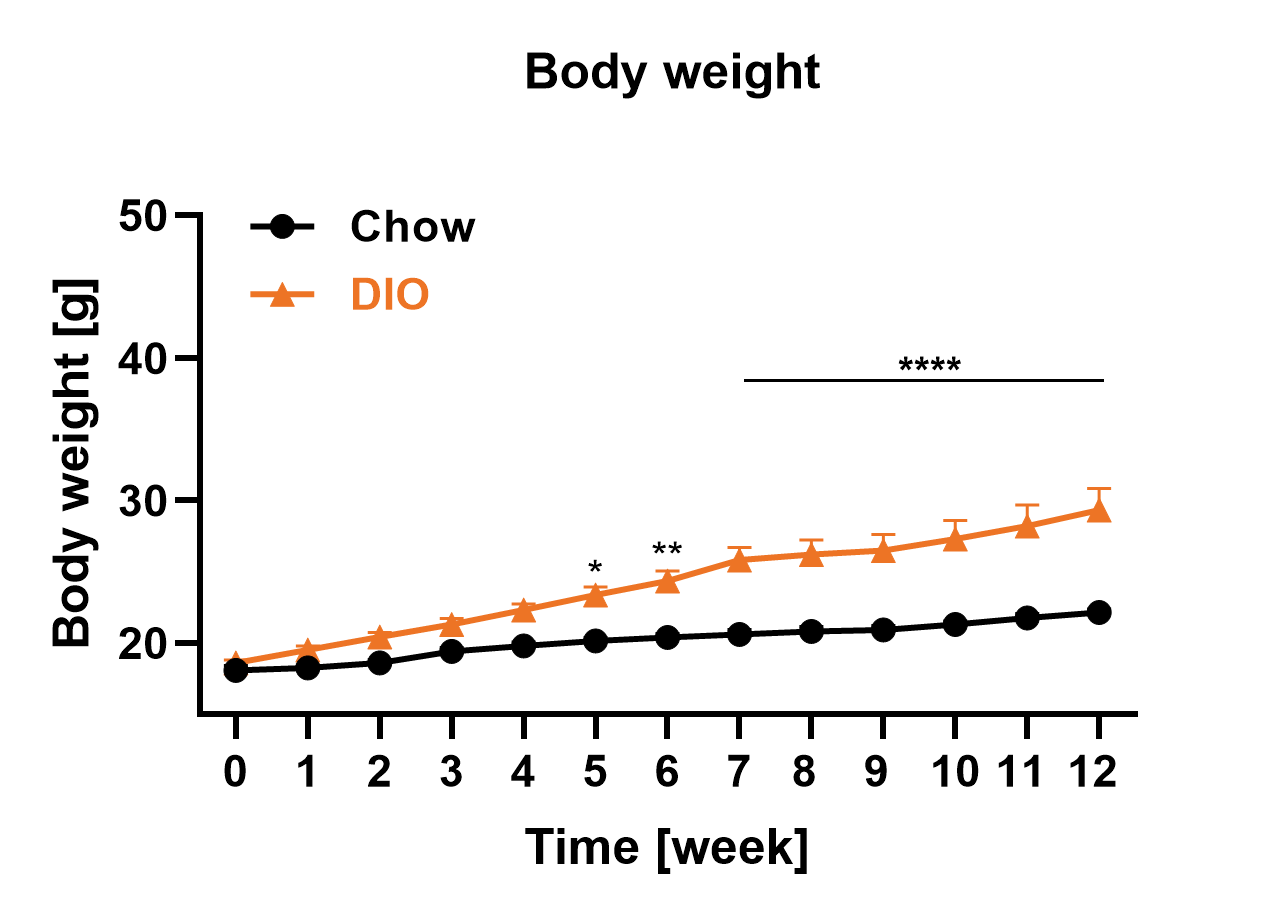 Female DIO body weight over time