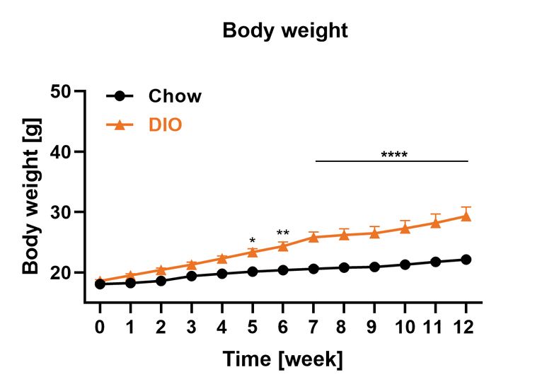 Female DIO body weight over time