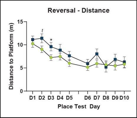 Reversal - Distance