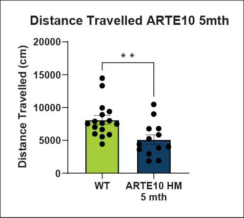 Distance Travelled ARTE10