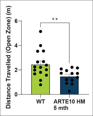 Distance Travelled (Open Zone)