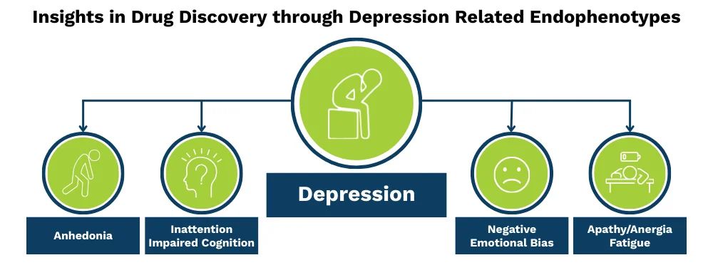 Endophenotypes for depression: anhedonia, inattention, negative emotional bias, and apathy