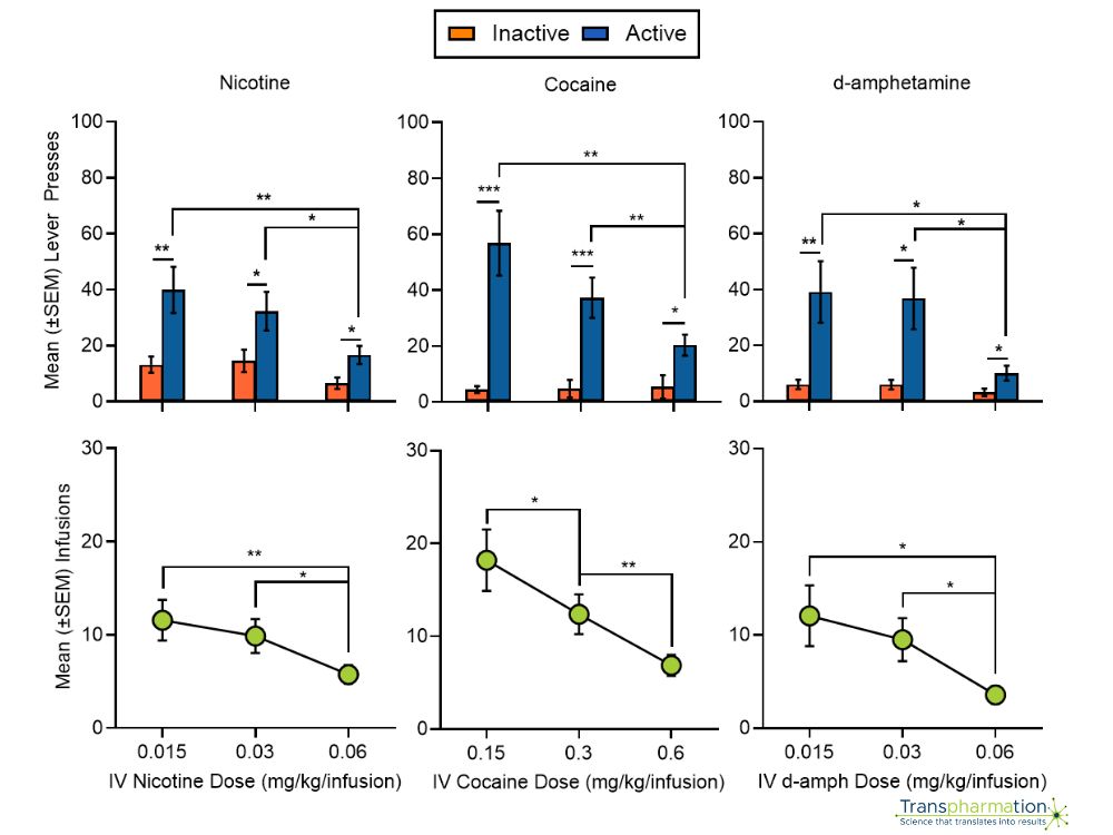 IV self-administration of nicotine, cocaine, and amphetamine in male Sprague-Dawley rats