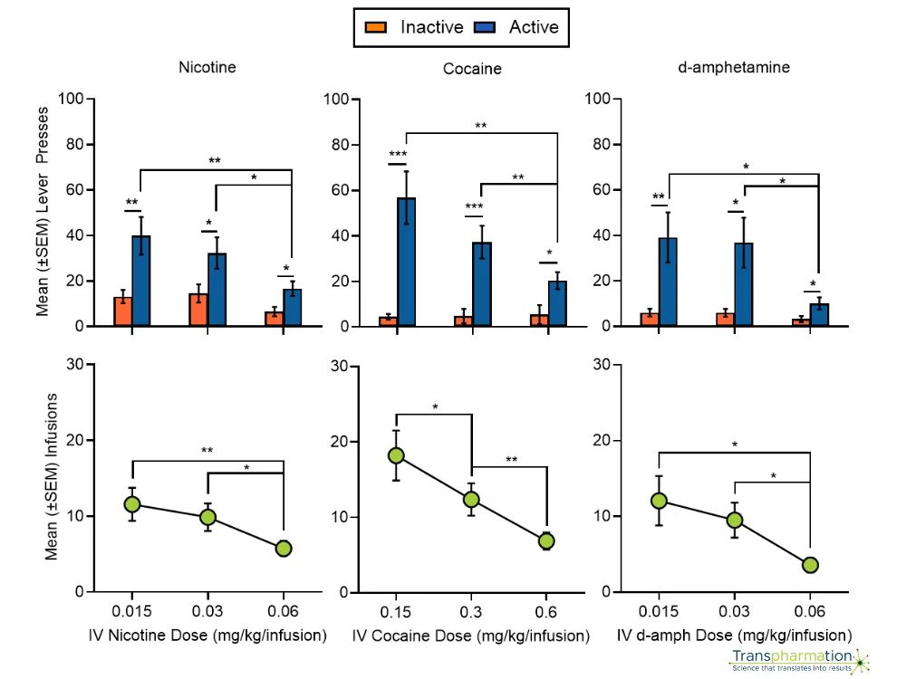 IV self-administration of nicotine, cocaine, and amphetamine in male Sprague-Dawley rats