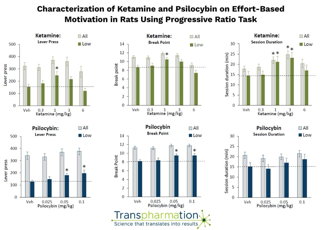 Characterization of ketamine and psilocybin on effort-based motivation in rats using progressive ratio task
