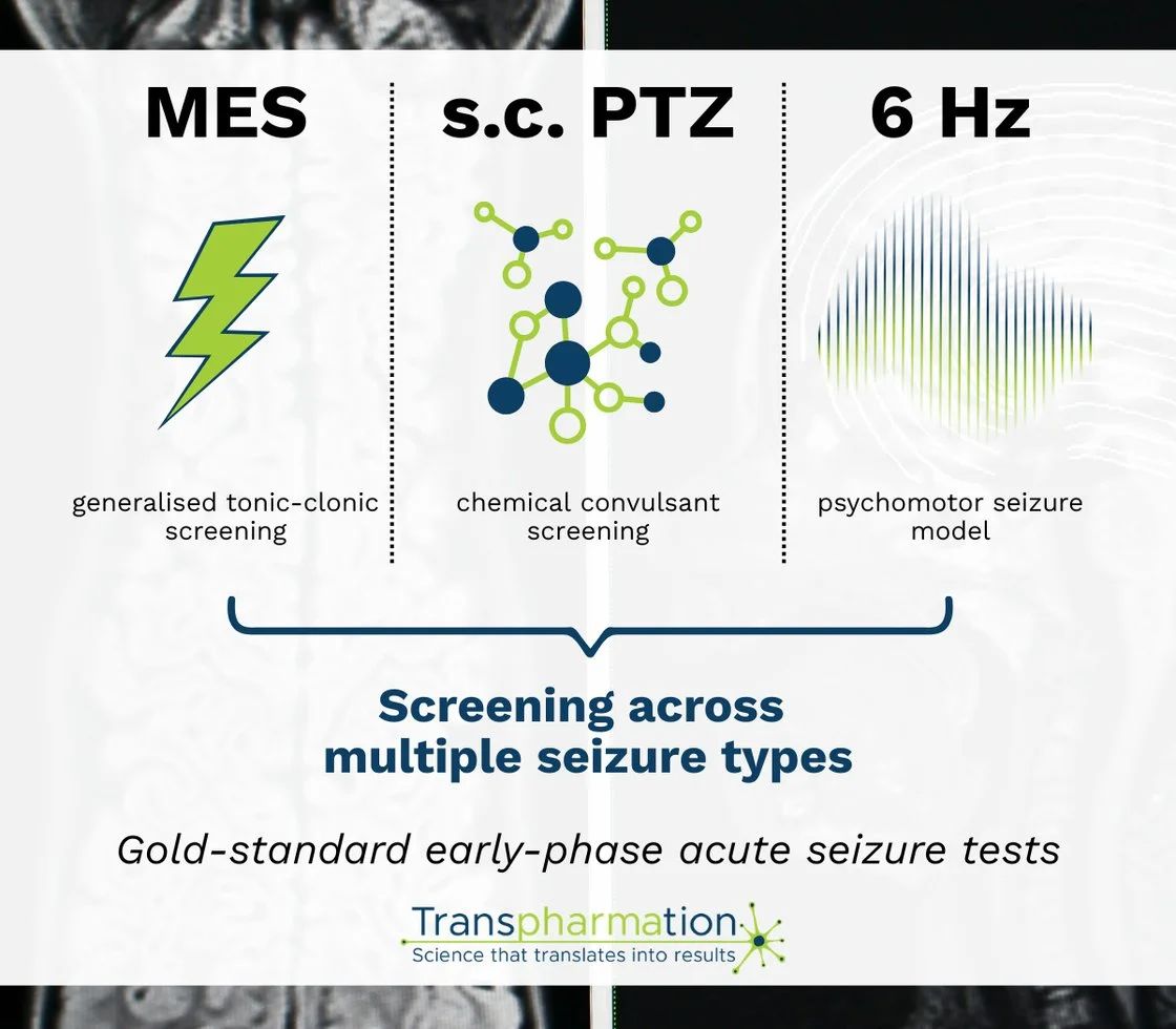 MES, s.c. PTZ, 6 Hz: screening across multiple seizure types. Gold standard early-phase acute seizure tests.