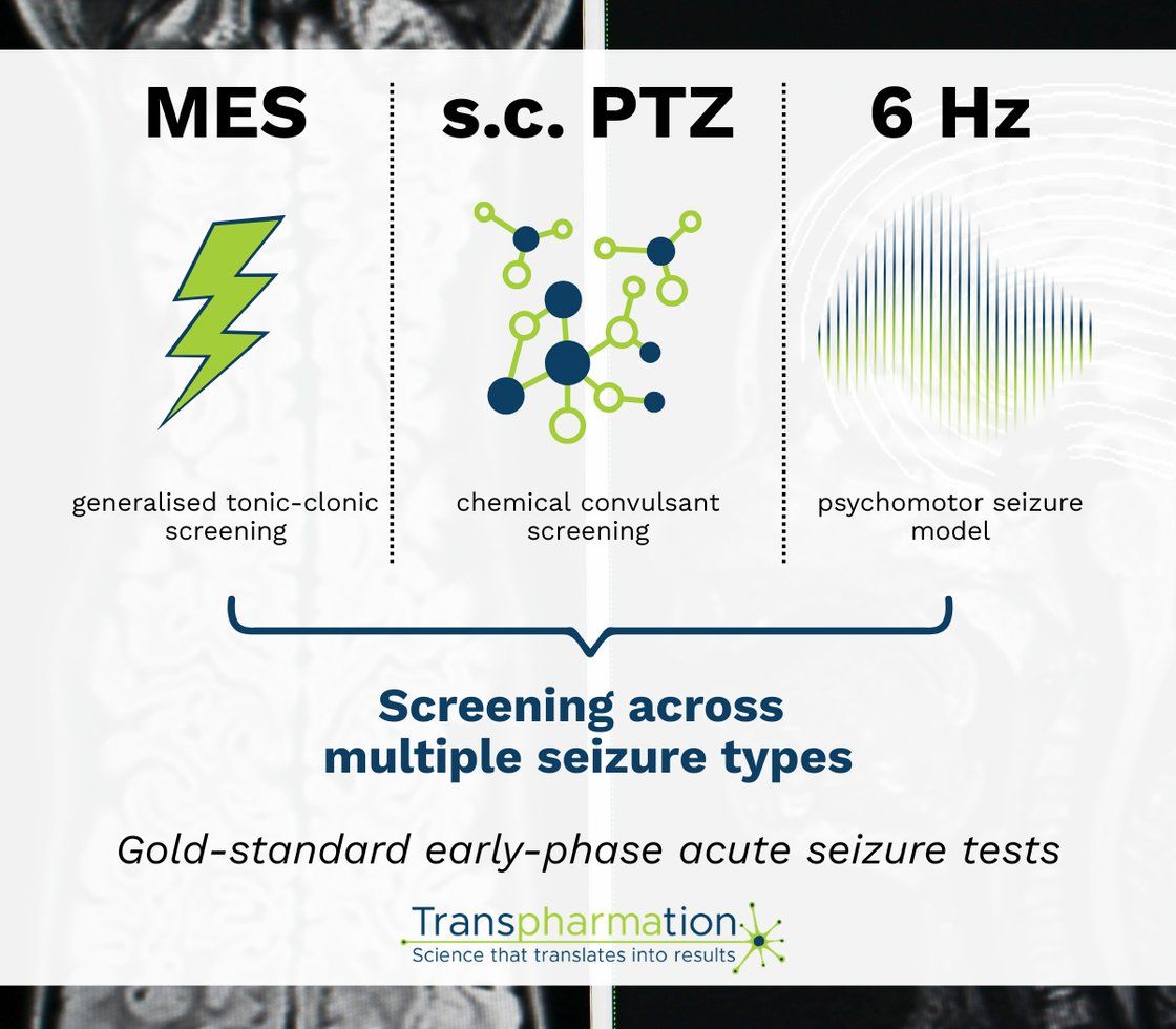 MES, s.c. PTZ, 6 Hz: screening across multiple seizure types. Gold standard early-phase acute seizure tests.