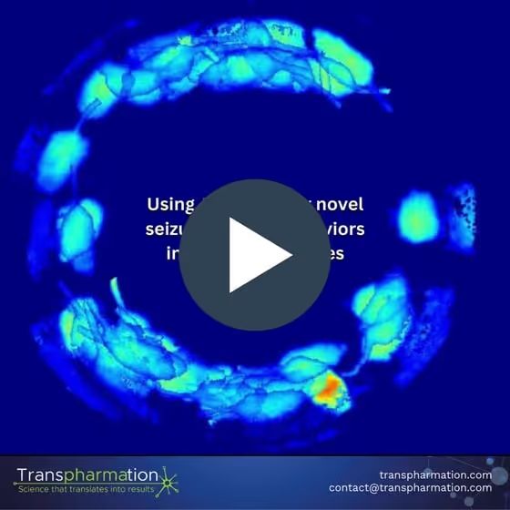 MoSeq video thumbnail