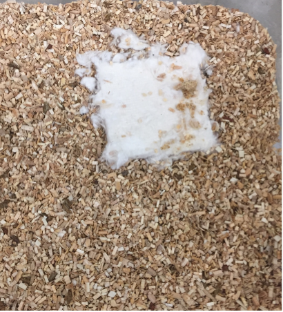 Nest 1
