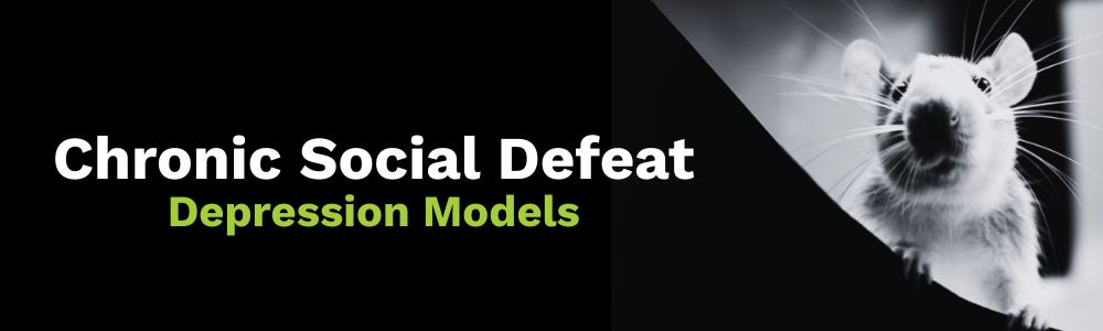 Chronic Social Defeat Depression Models