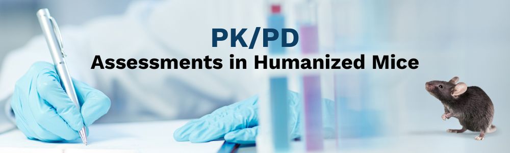 PK/PD - Humanized Mouse Model