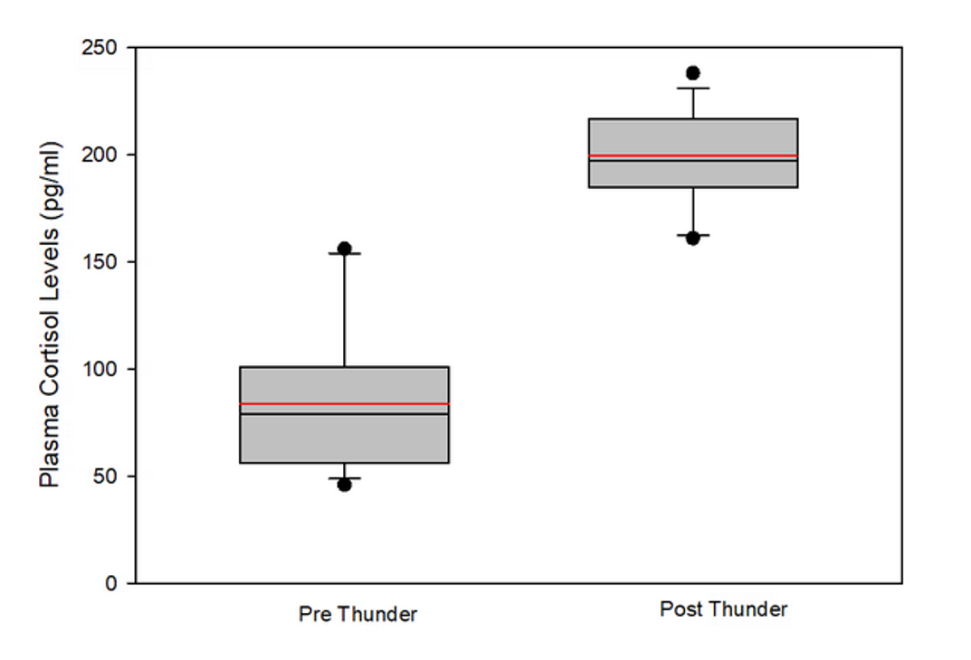 Plasma cortisol levels