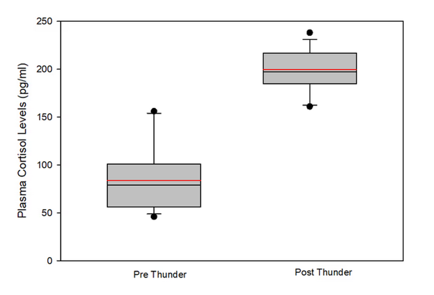Plasma cortisol levels