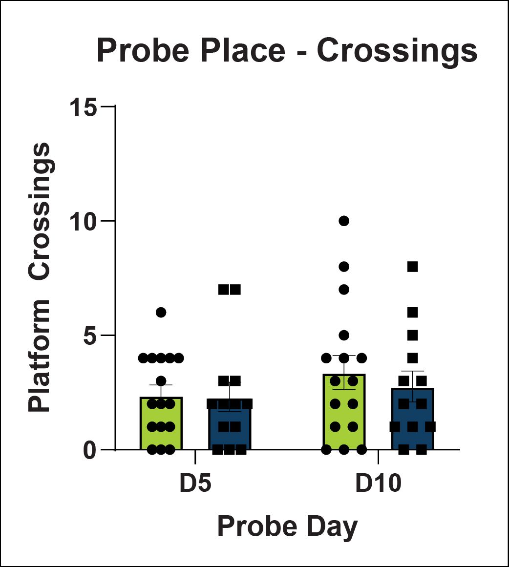 Probe Place - Crossings