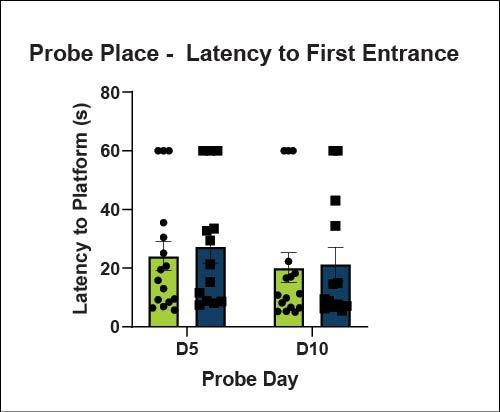 Probe Place - Latency to first entrance