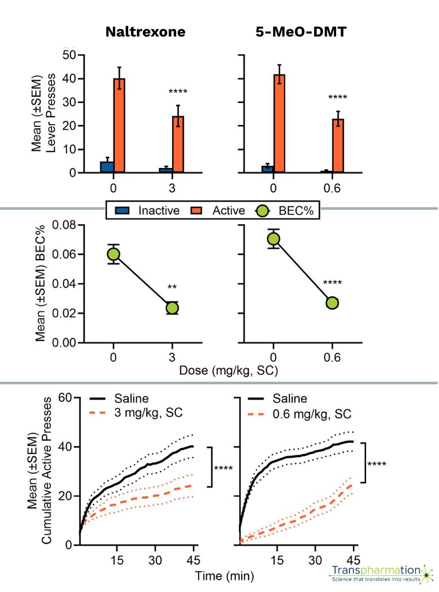 Psychedelics used to treat alcohol use disorder - transpharmation