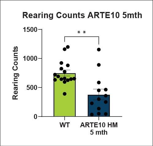 Rearing Counts ARTE10