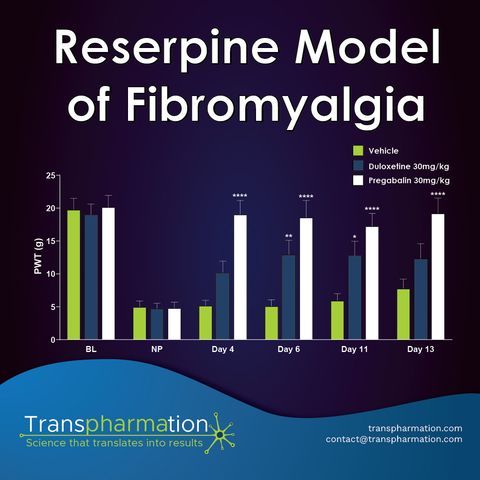 Reserpine Model of Fibromyalgia